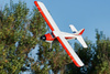 Samolot Zdalnie Sterowany FMS Beaver 2000mm ARF Czerwony Model RC Piankowy | 4ST18062-AR
