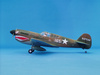 P-40E Warhawk ARF (1357mm)