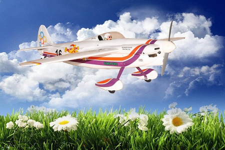 Shoestring (1600mm) ARF - SEA143 Seagull