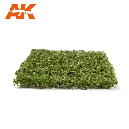 Liście bukowe - lato | AK8145