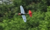 Mini P47 Thunderbolt 450 RTF 402mm | TOP104B02 TOP RC HOBBY