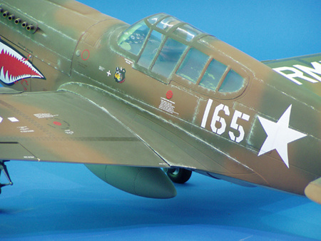 P-40E Warhawk ARF (1357mm)