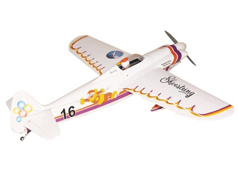 Shoestring (1600mm) ARF - SEA143 Seagull