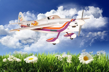 Shoestring (1600mm) ARF - SEA143 Seagull