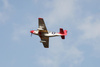 P-51D Mustang "Red Tail" V8 1450mm EPP ARF - FMS