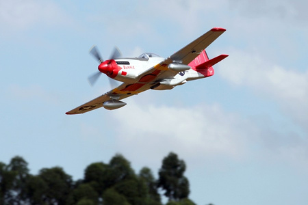 Giant P-51D Mustang "Red Tail" 1700mm EPP ARF - FMS