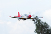 Giant P-51D Mustang "Red Tail" 1700mm EPP ARF - FMS