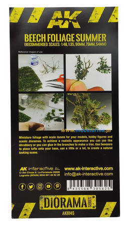 Liście bukowe - lato | AK8145