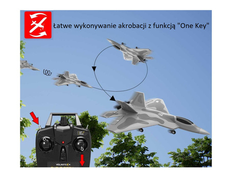 F-22 Raptor RTF 2,4GHz - VOLANTEX 761-7