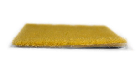 Kępki jesienne (8mm) | AK8129