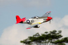 P-51D Mustang "Red Tail" V8 1450mm EPP ARF - FMS