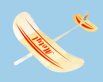 MOTYL - model szybowca