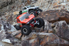 RGT Tracer Crawler 4WS 1/10 Szary Samochód Terenowy Zdalnie Sterowany | RGT-EX86180PRO-2