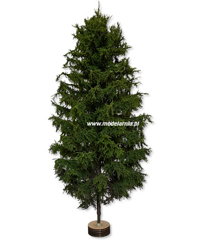 Drzewko Modrzew Europejski Makieta Diorama 300mm | MPN4 FREON