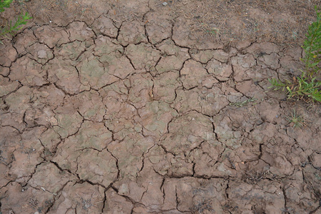 Akrylowa imitacja mokrej popękanej ziemi (Wet Crackle Effects) 100ml | AK8034