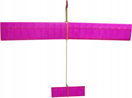 Pliszka - szybowiec szkolny