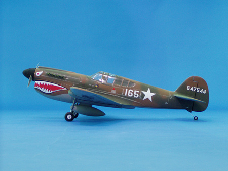 P-40E Warhawk ARF (1357mm)