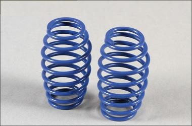 Sprężyny baryłkowe 2,5x53mm 2szt. - FG 7284