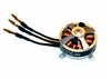 Silnik bezszczotkowy ECO V2 2300kV | 2304C-2300 DUALSKY