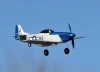 Mini Mustang P51D Scaled Warbird Airplane niebieski RTF (450mm) | TOP097B01 TOP RC HOBBY