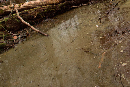 Akrylowa imitacja wody bagiennej w żelu (Swamp Green) 250ml | AK8006