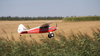 Multiplex Pacer ARF 1150mm Samolot Zdalnie Sterowany Model RC | 1-02783