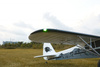 Samolot Zdalnie Sterowany FMS PA-18 Super Cub 1300mm PNP ARF + Żyroskop Reflex V3