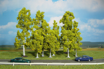 Drzewko Brzoza (10-18cm) | 1322 HEKI