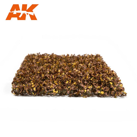 Liście bukowe - jesień | AK8141