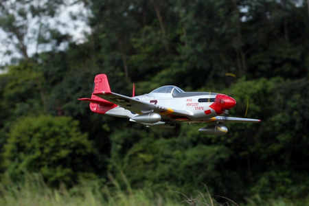 Giant P-51D Mustang "Red Tail" 1700mm EPP ARF - FMS