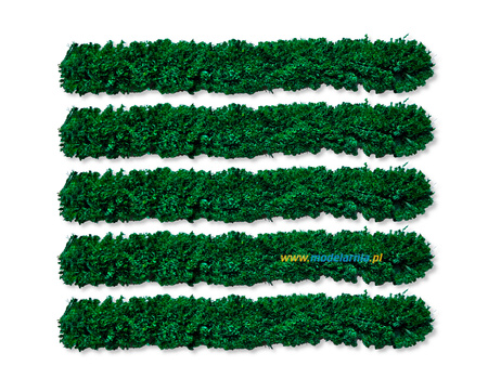 Żywopłot modelarski Tuja 125mm (5szt.)