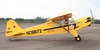 Piper Cub (2240mm) ARF - SEA074 Seagull