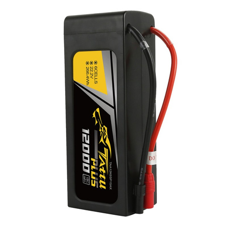 Tattu Plus 12000mAh 22,2V 15C 6S1P Lipo - GENS ACE & TATTU