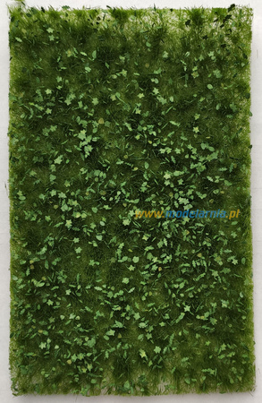 Kępki z opadłymi liśćmi - lato | AK8139