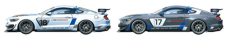 Ford Mustang GT4 1:24 | 24354 TAMIYA
