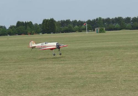 Gilmore Red Lion (1470mm) ARF - BH057 Black Horse