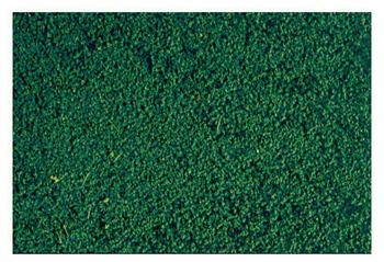 Mata zielona 24x14cm | 1603 HEKI