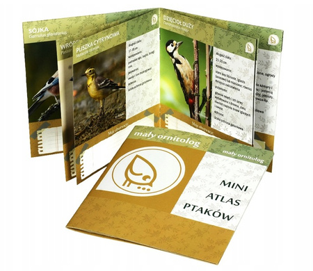 Karmnik Dla Ptaków Zestaw Mały Ornitolog z Przyssawkami Do Okna