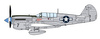 P-40N Warhawk 'Natural Metal Aces' 1:48 | 07516 HASEGAWA