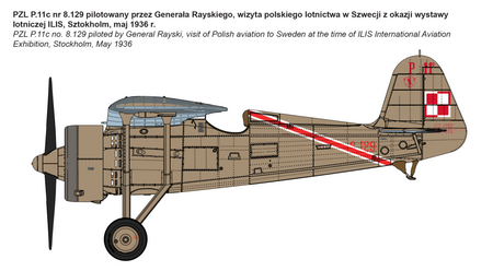 PZL P.11c - Polish Fighter "Rare birds" 1:32 | 32004 IBG