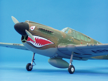P-40E Warhawk ARF (1357mm)