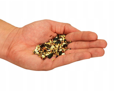 Karmnik Dla Ptaków Zestaw Mały Ornitolog z Przyssawkami Do Okna