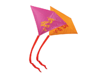 Latawiec pół-płaski malajski SMOK