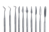 Zestaw narzędzi do rzeźbienia (10szt.) | 1012 GSW